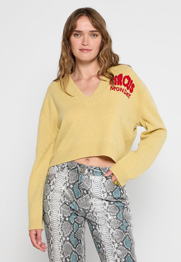 Stella Nova