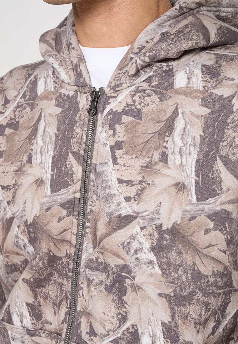 Hollister Co.