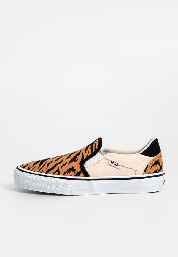 Vans ASHER