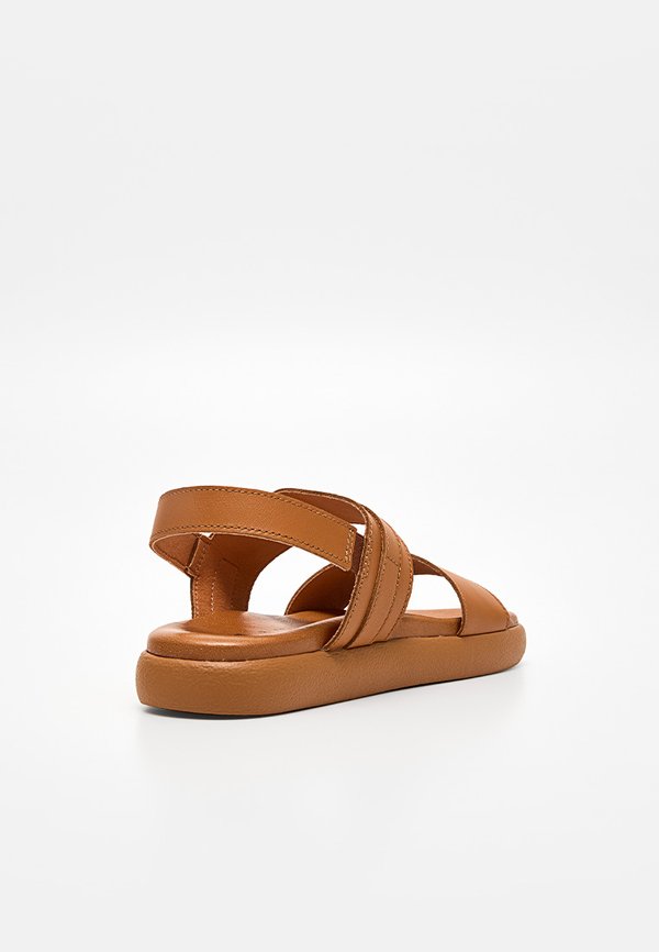 Scholl TAYLOR