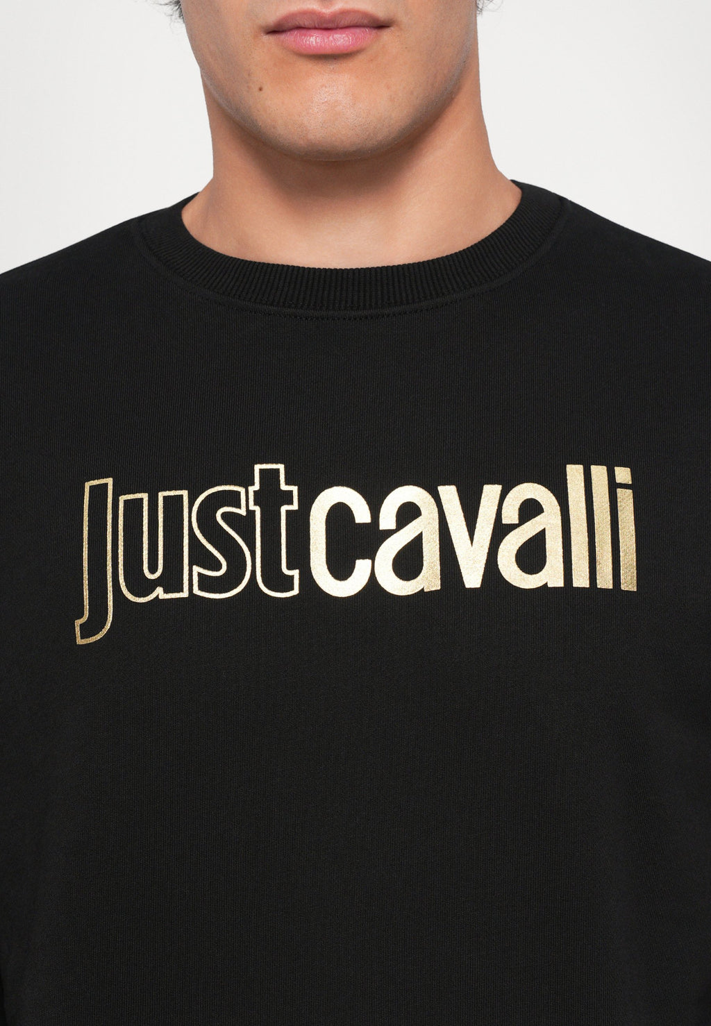 Just Cavalli INSTITUTIONAL LOGO