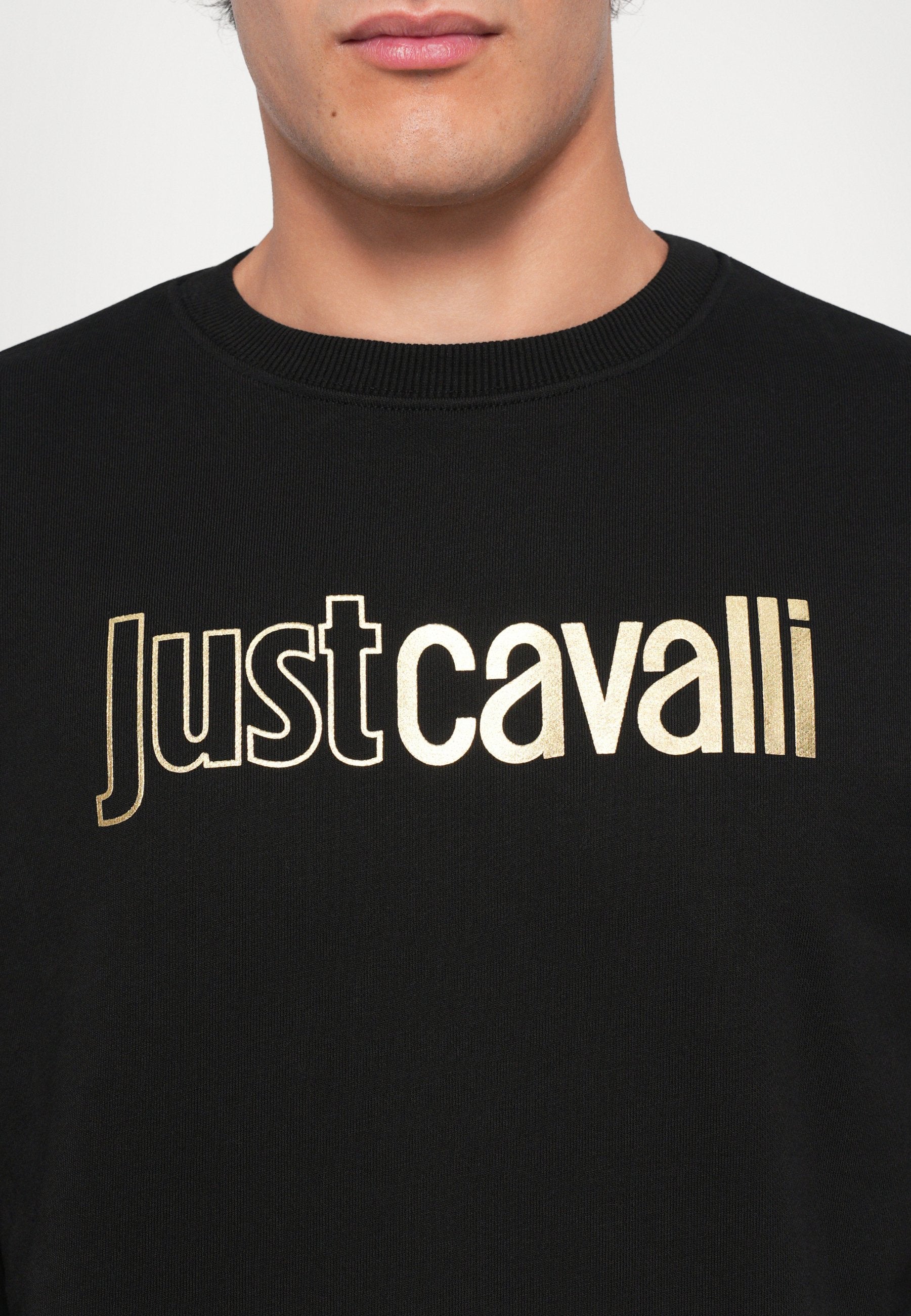 Just Cavalli INSTITUTIONAL LOGO