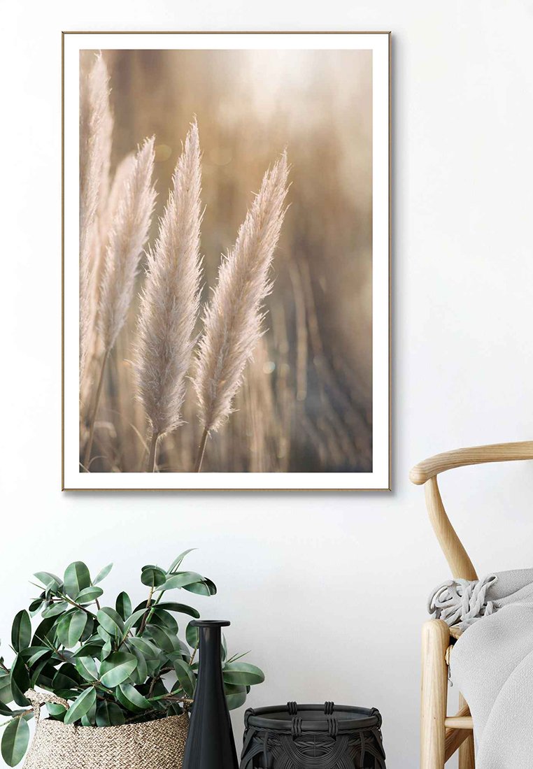 Orange Wallz EVENING GRASS
