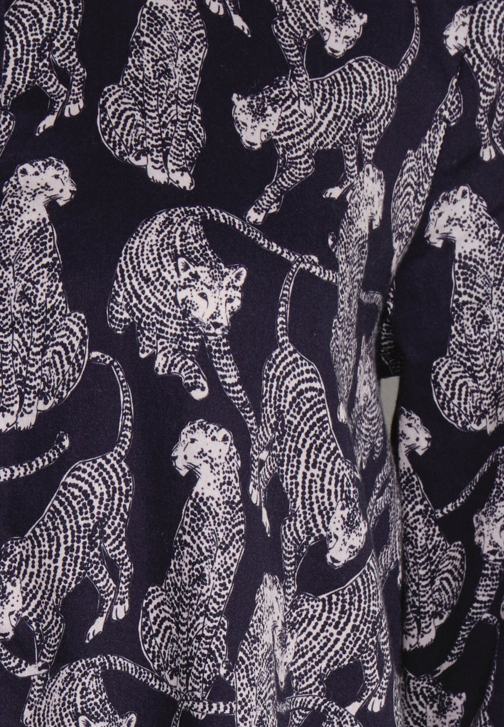 Emily van den Bergh DRESS