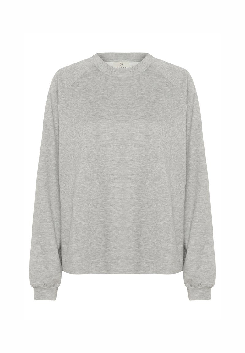Grauer Langarm-Sweatshirt mit Rundhalsausschnitt, Raglanärmeln und gerippten Bündchen, aus weichem Baumwollstoff mit glatter Textur.