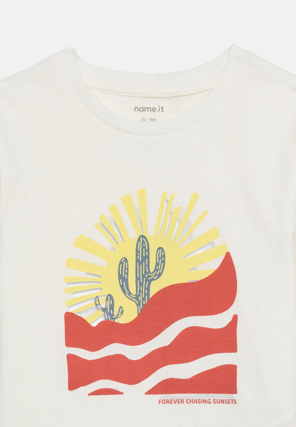 Name it NMMPHALDUR NREG SS TOP