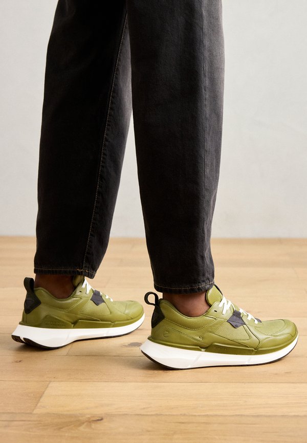 ECCO BIOM 2.2 GTX