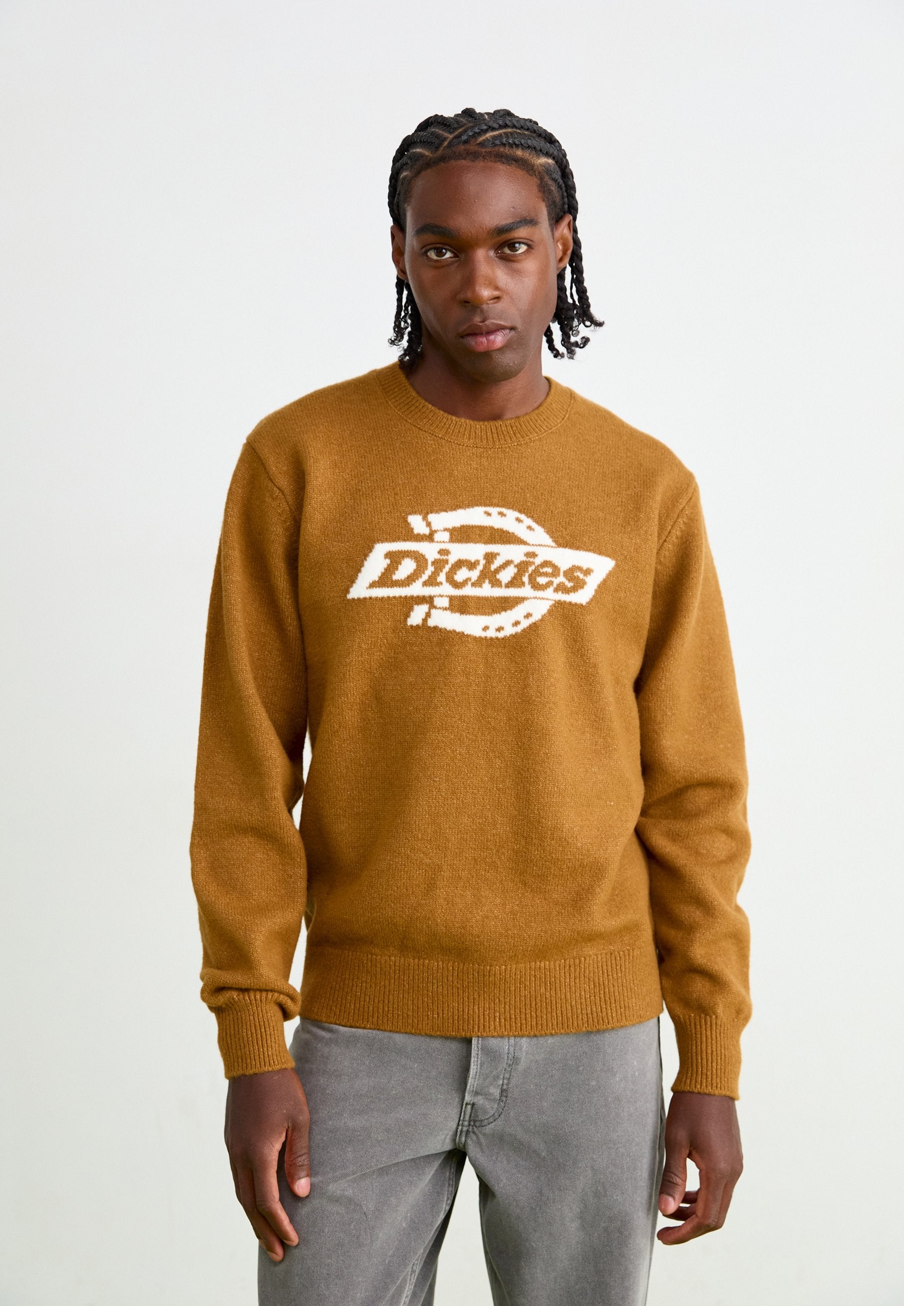 Dickies RUSTON SWEATER