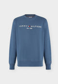 Tommy Hilfiger LOGO - Sweatshirt - aegean sea