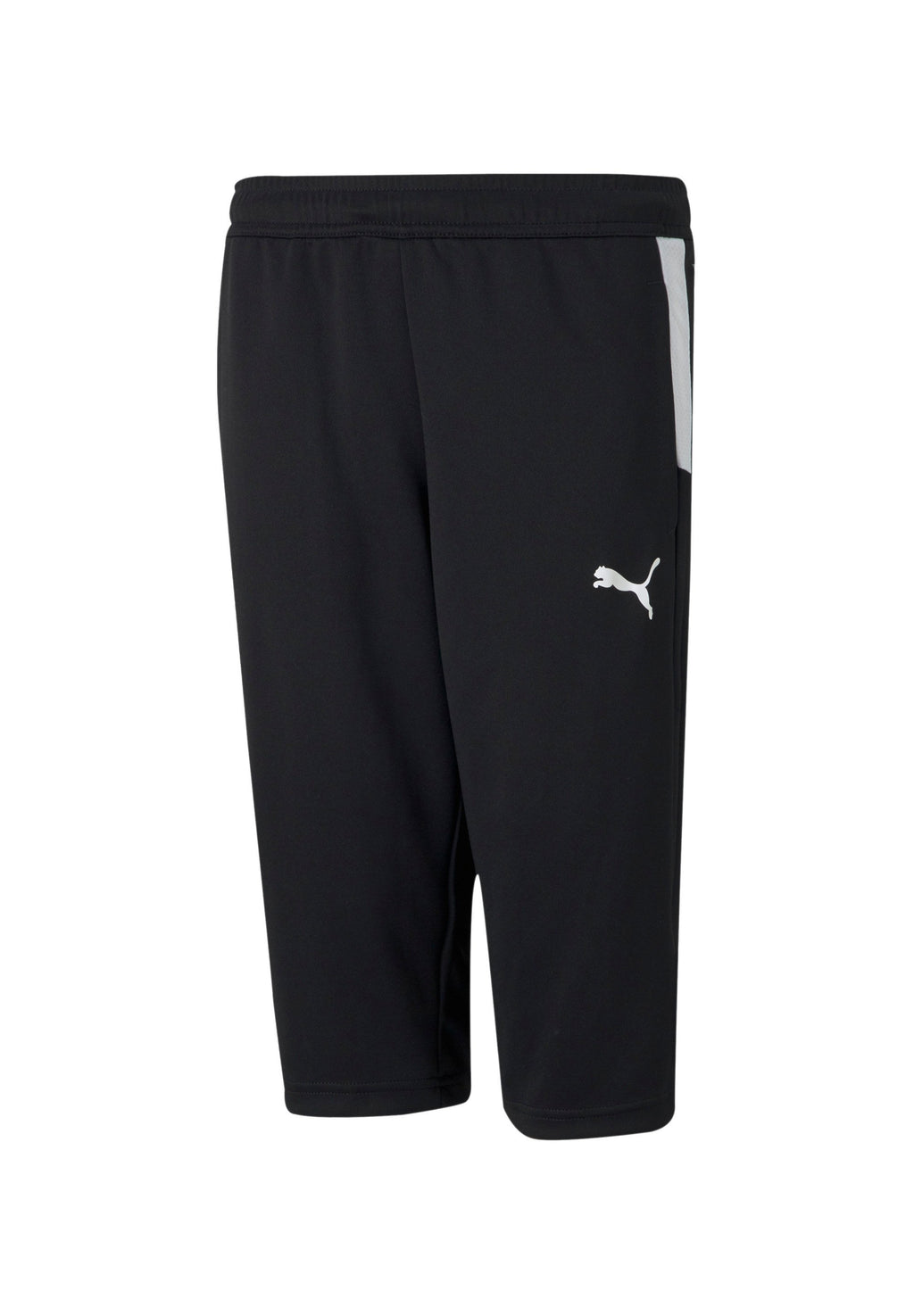 Puma TEAMLIGA