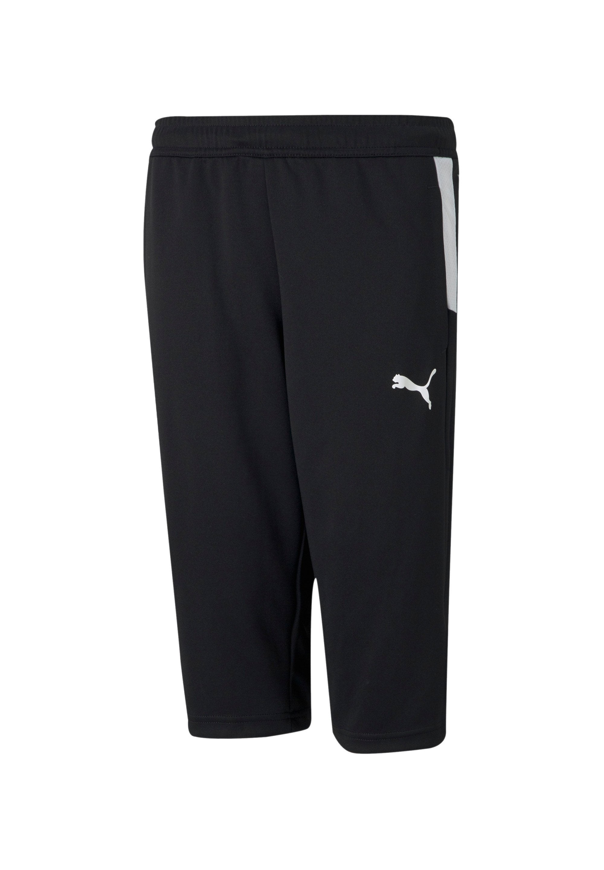 Puma TEAMLIGA