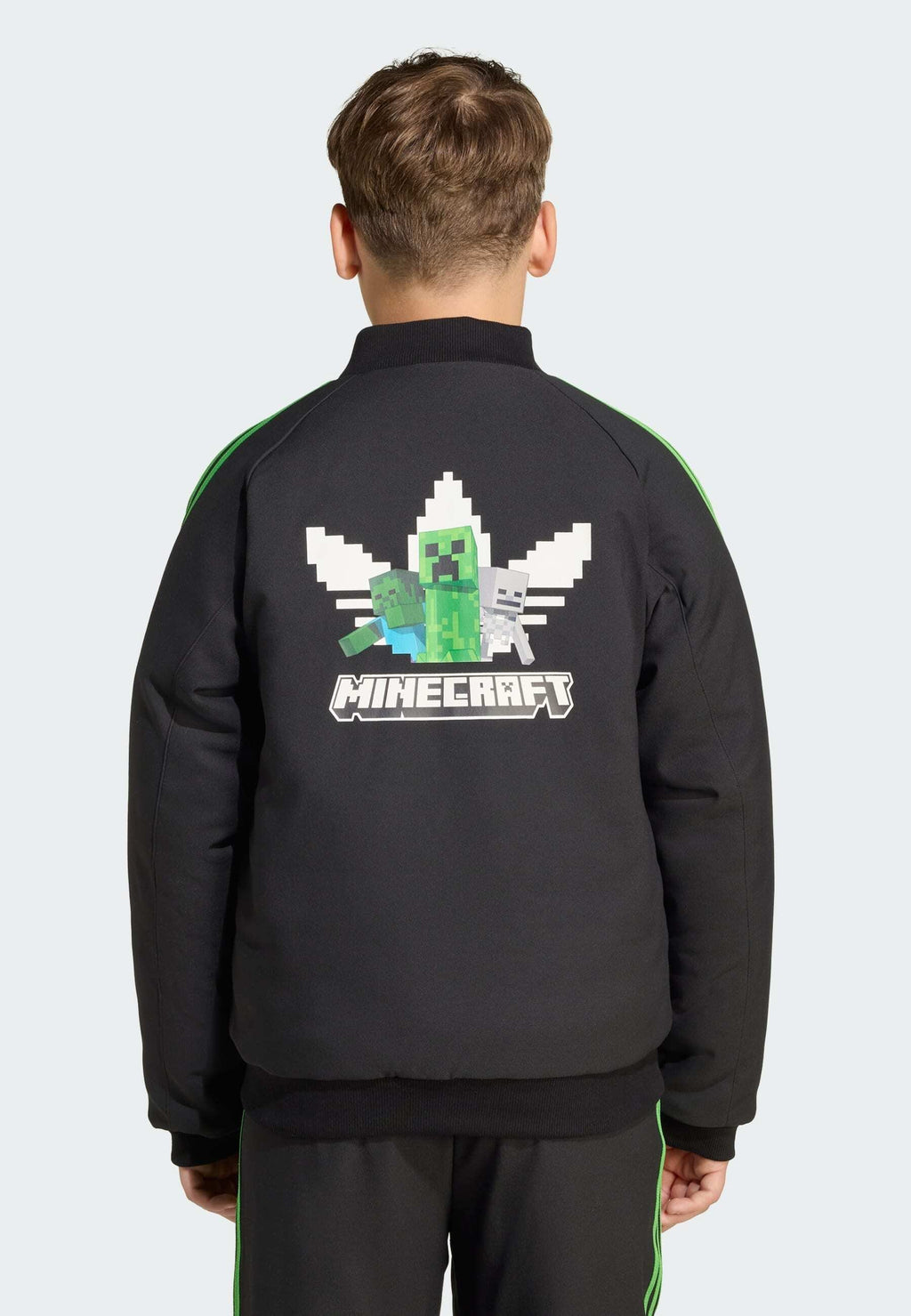 MINECRAFT  Media 7