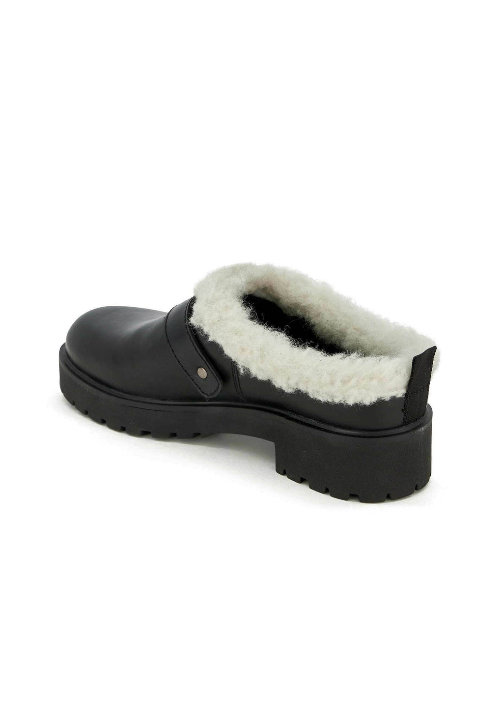 Scholl DAHLIA