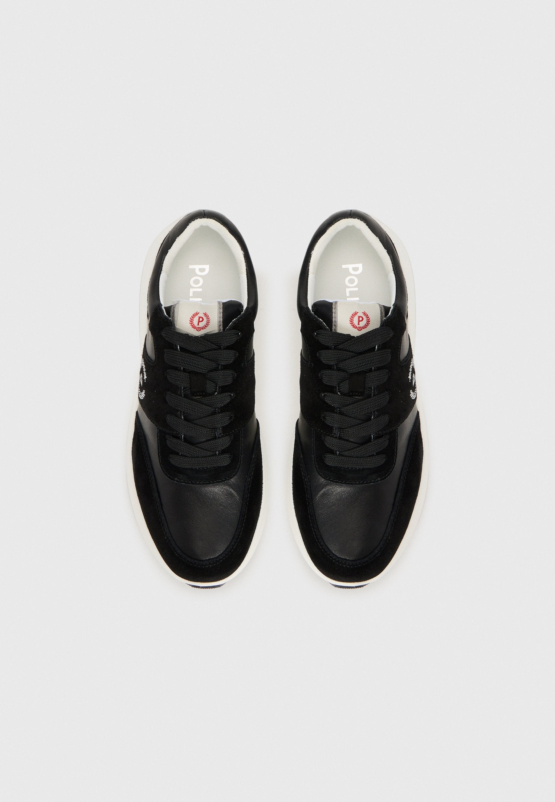 Pollini