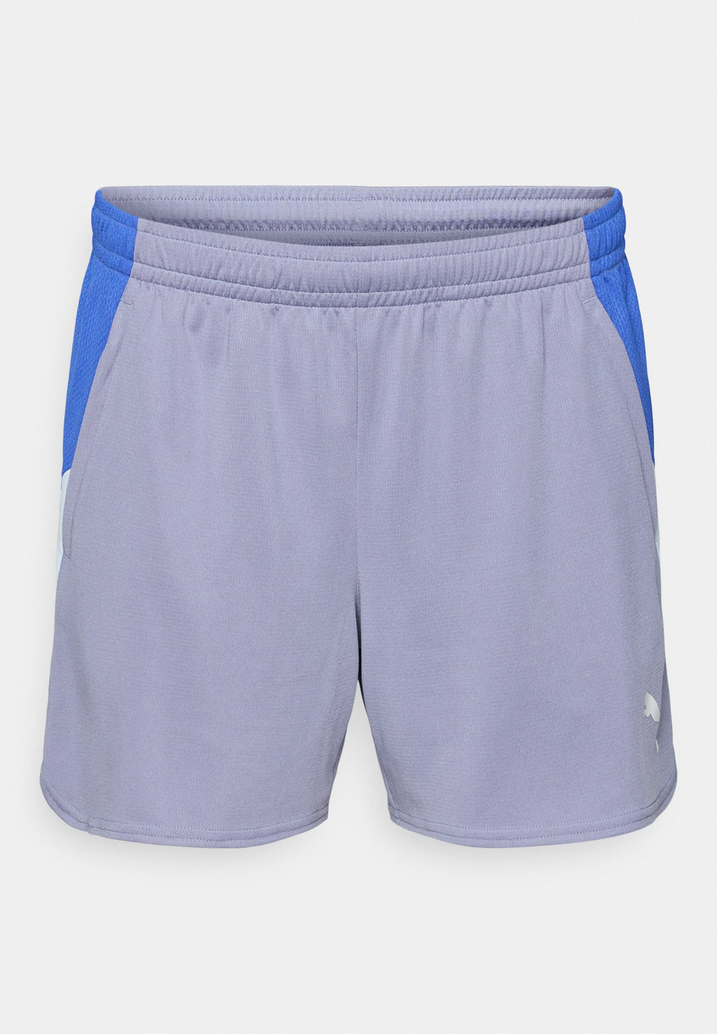 Puma INDIVIDUALBLAZE SHORTS