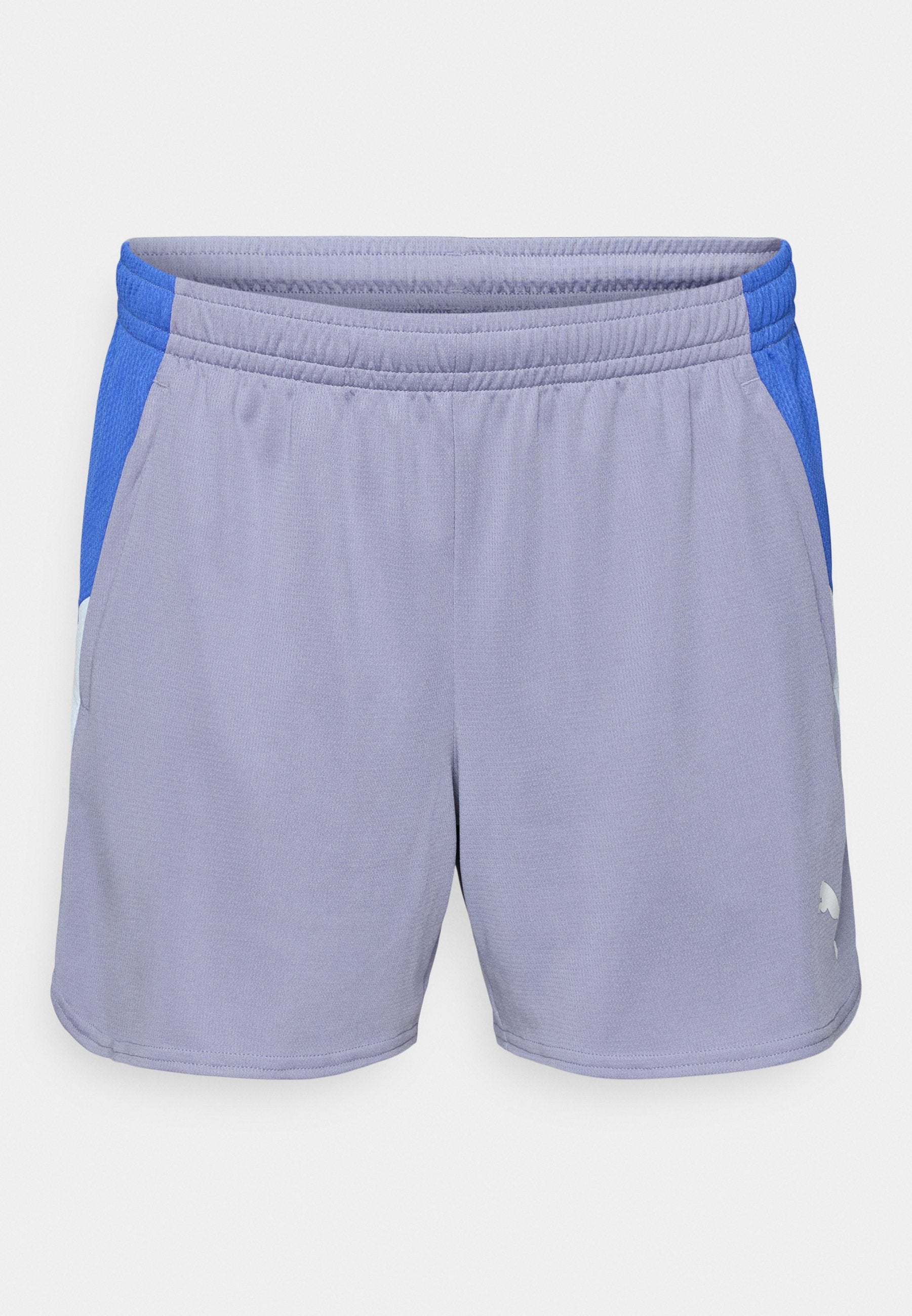 Puma INDIVIDUALBLAZE SHORTS