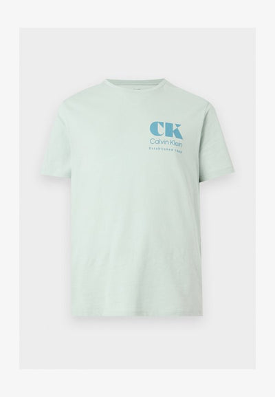 Calvin Klein Jeans RESORT GRAPHIC TEE - Print T-shirt - pale meadow
