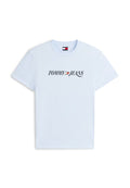 Tommy Jeans LOGO JERSEY CREW NECK T-SHIRT