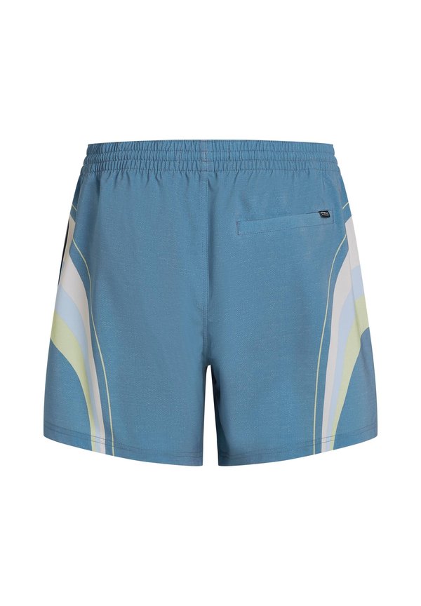 O'Neill O'RIGINALS LONGBOARD 15" SWIMSHORTS