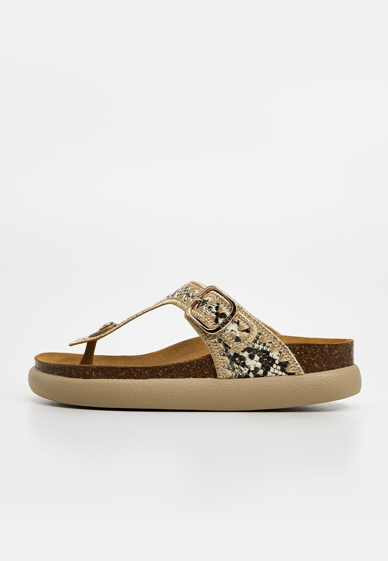 Scholl ANAIS