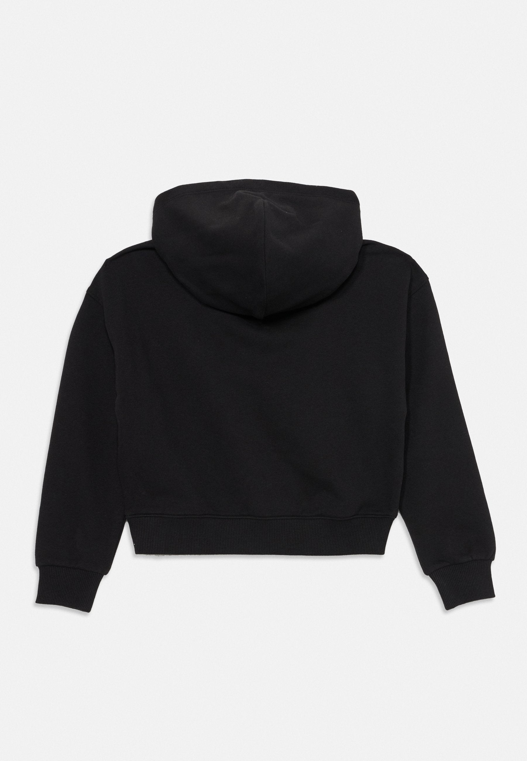 TONAL FLAG HOODIE UNISEX Media 4