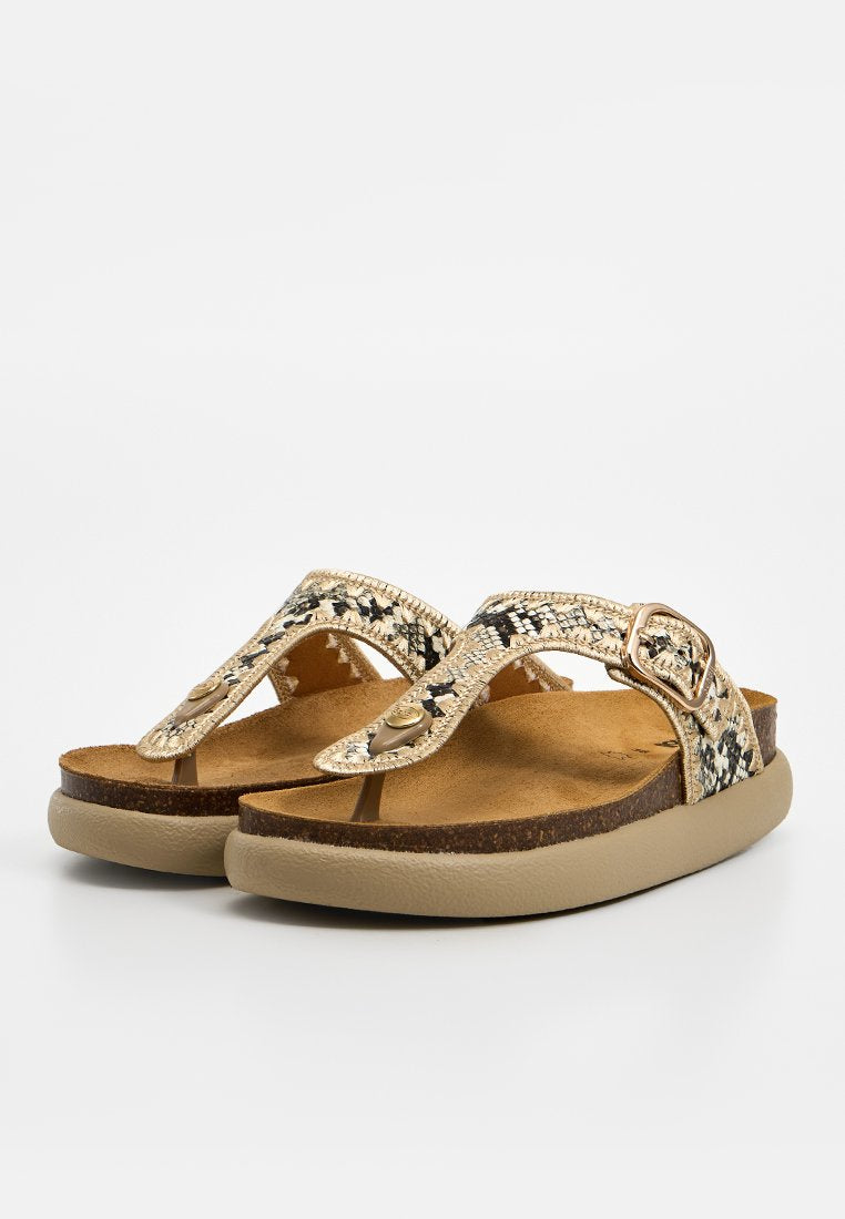 Scholl ANAIS