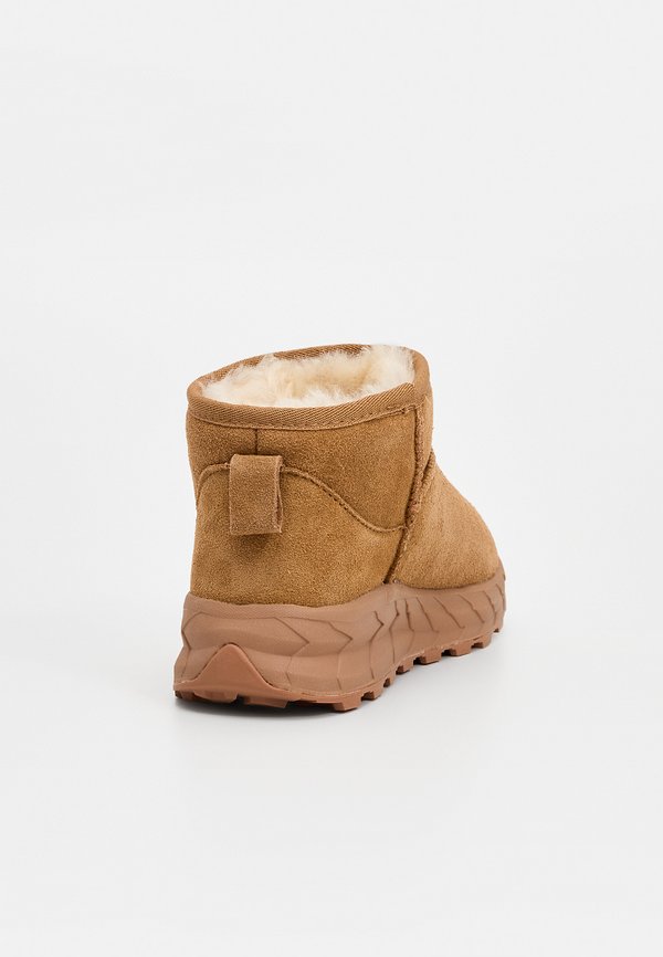 Icepeak AMUR