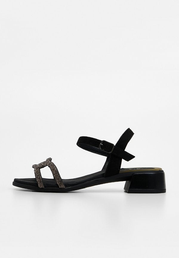 Scholl LIPARI