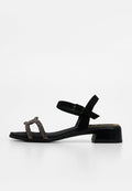 Scholl LIPARI