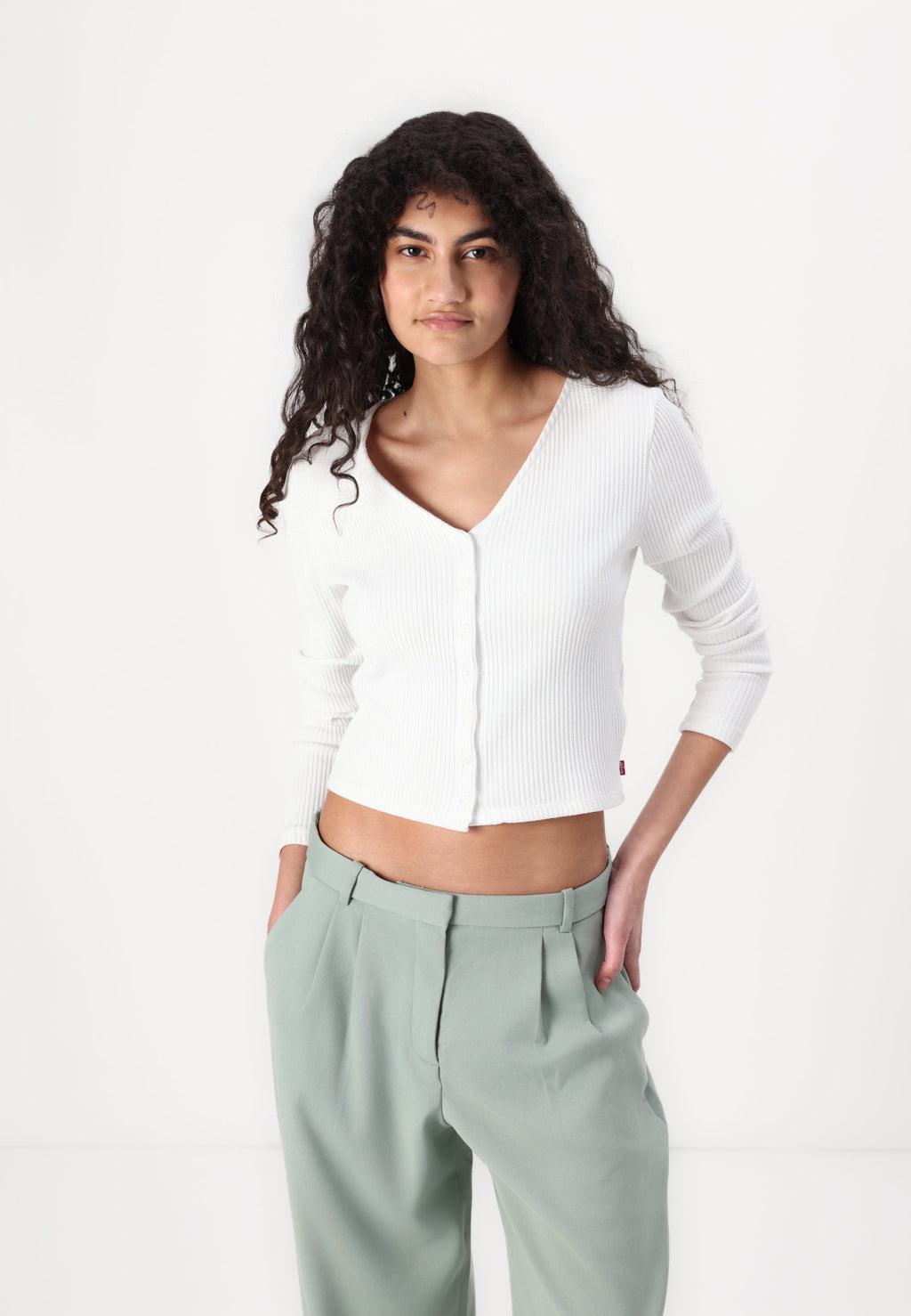 Abercrombie & Fitch Curve Love A&F Sloane Low Rise Tailored Wide Leg Pant
