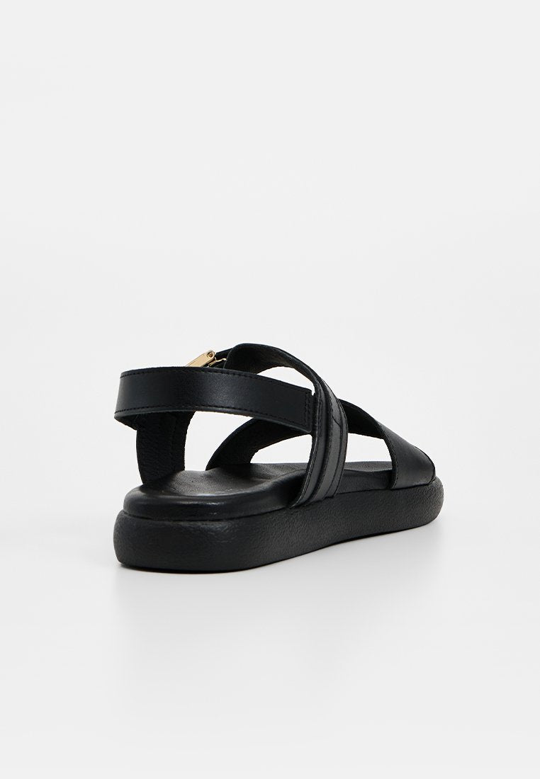 Scholl TAYLOR