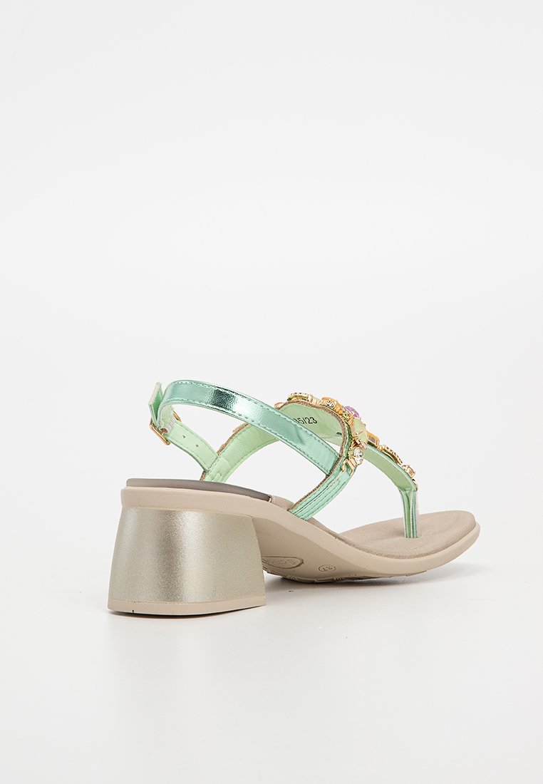 Scholl PALEA
