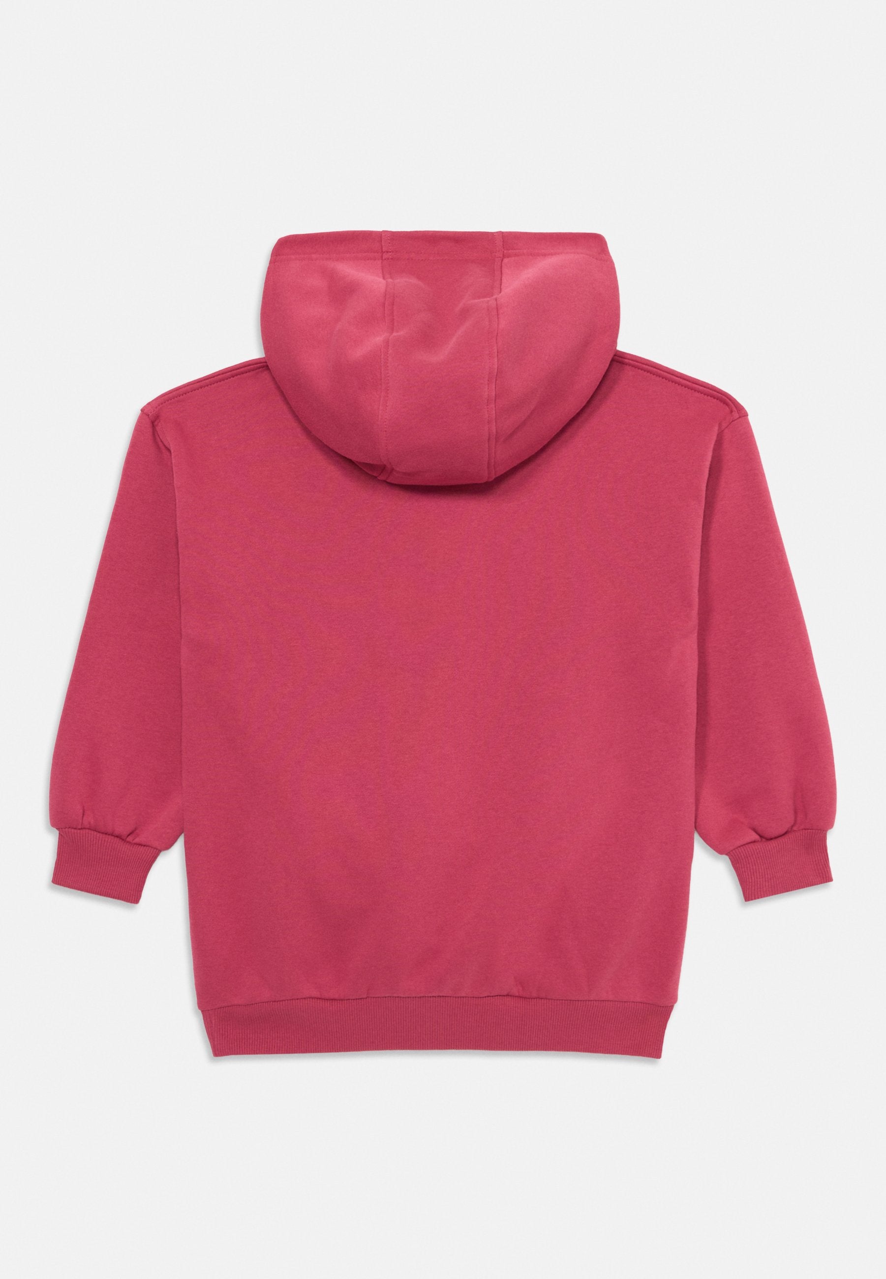 Nike Sportswear CLUB HOOD