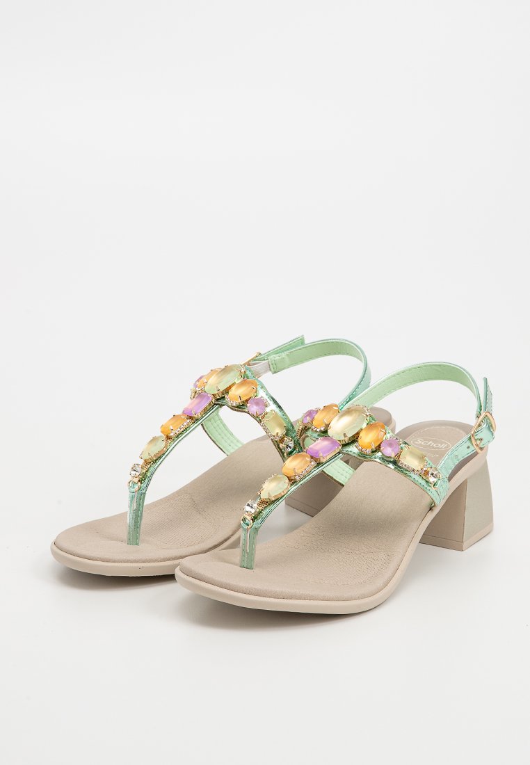 Scholl PALEA