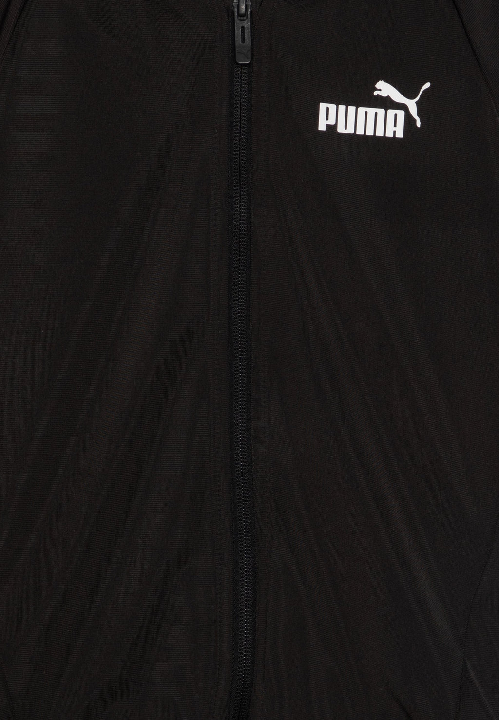 Puma LOGO SUIT UNISEX SET