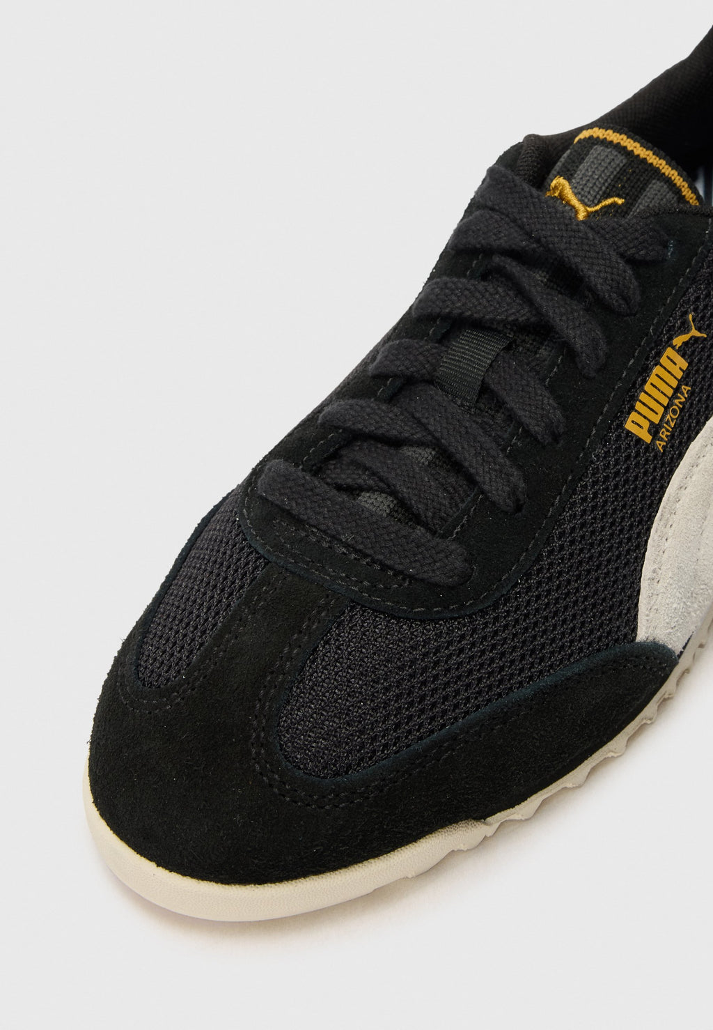 Puma ARIZONA