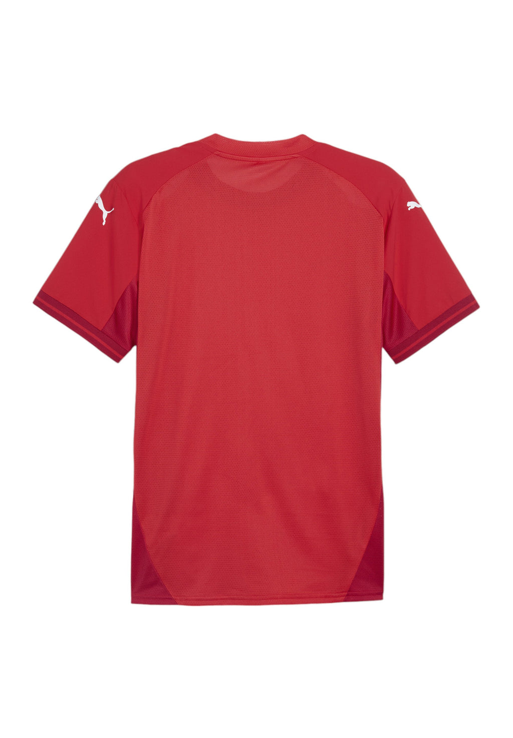Puma  TEAMSPORT
