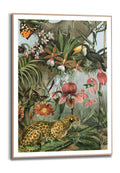 Orange Wallz JUNGLE NATURE