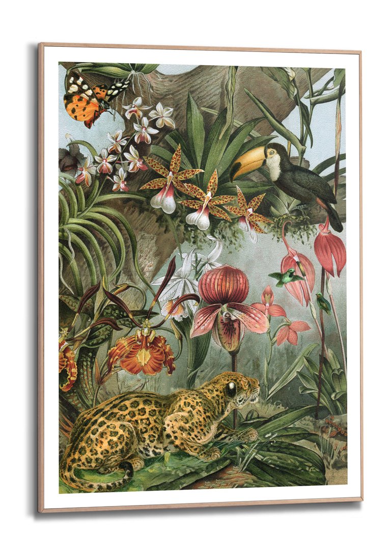 Orange Wallz JUNGLE NATURE