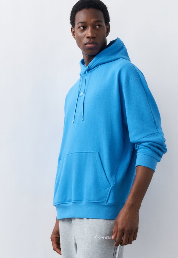 Calvin Klein HOODIE ICON
