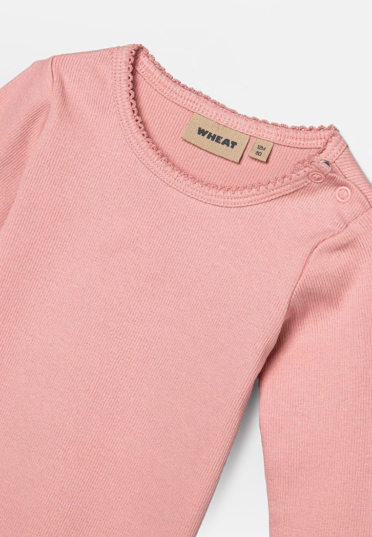 Wheat REGITZE