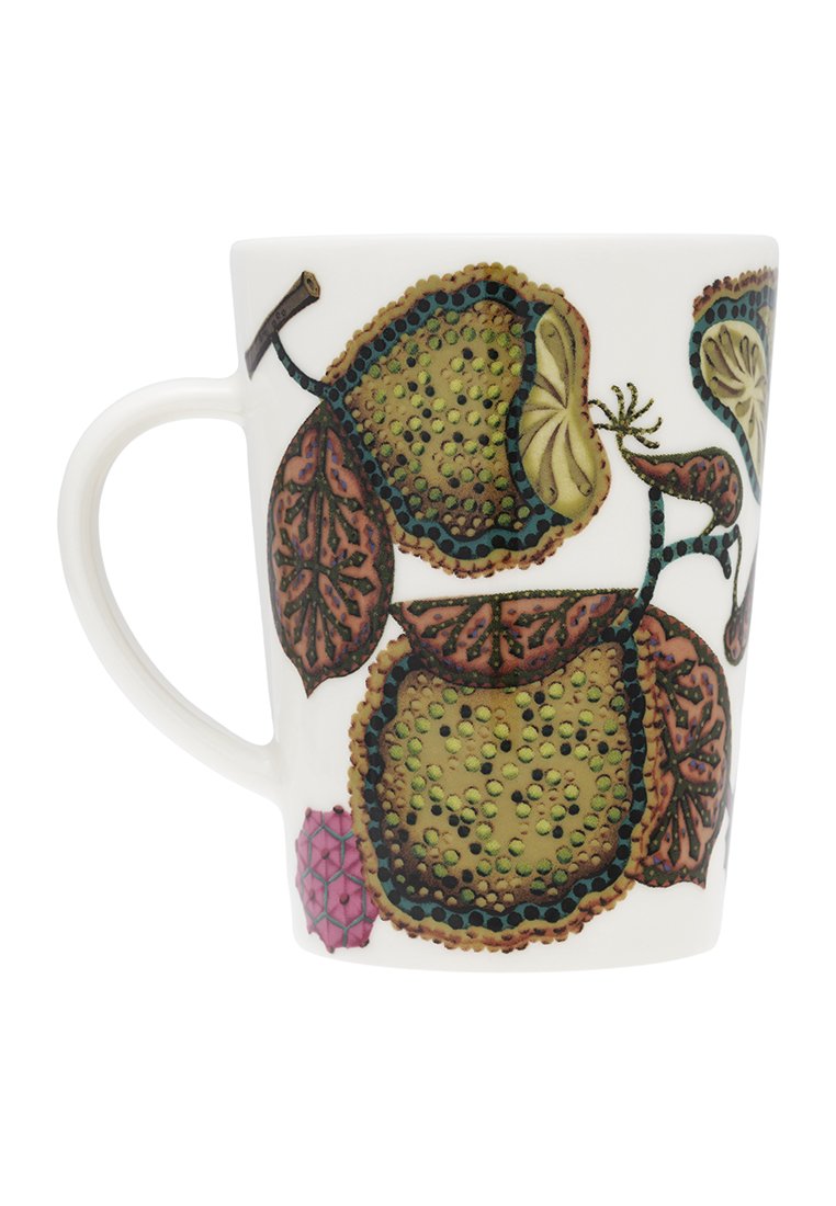 iittala TAIKA 6 PACK