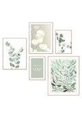 Orange Wallz BOTANIC SERENITY SET