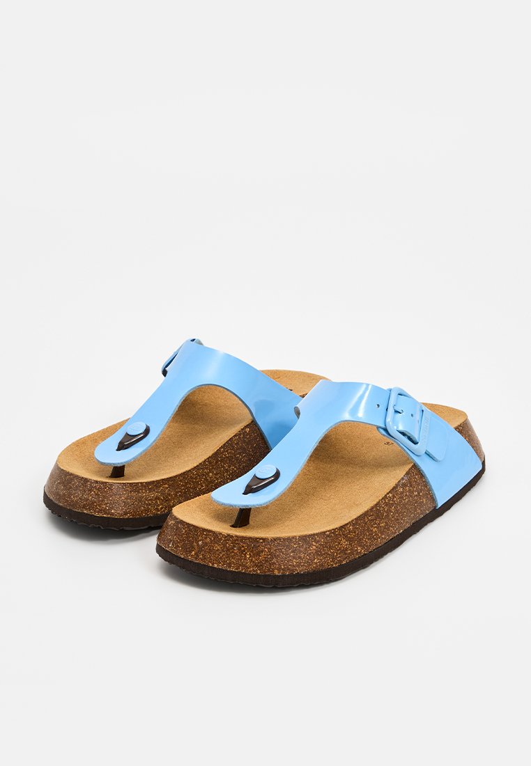 Scholl ANAIS