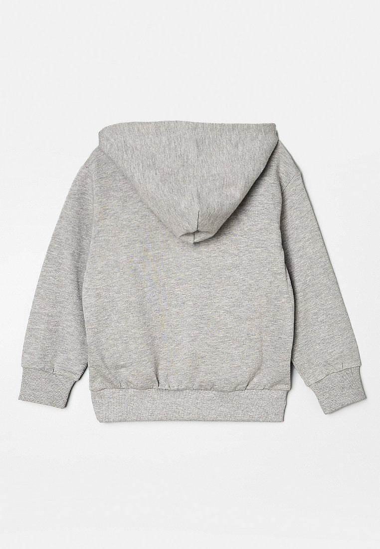 Diesel SHOFOROP