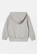 Diesel SHOFOROP