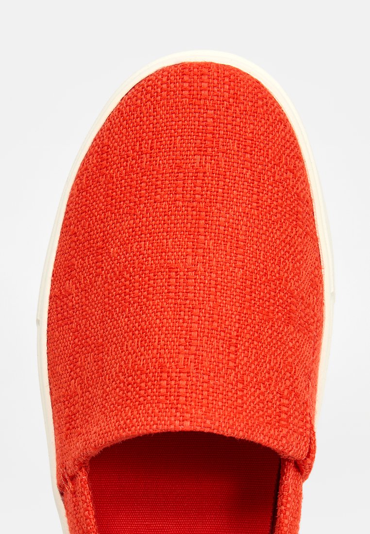 TOMS KAMERON