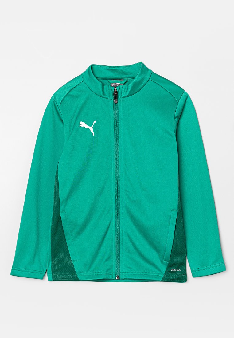 Puma TEAMGOAL