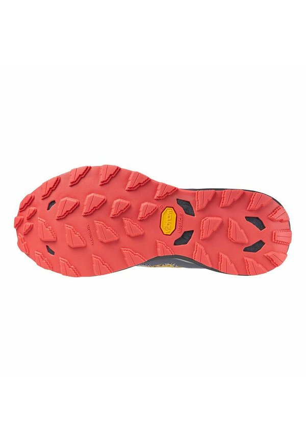 Mizuno WAVE DAICHI