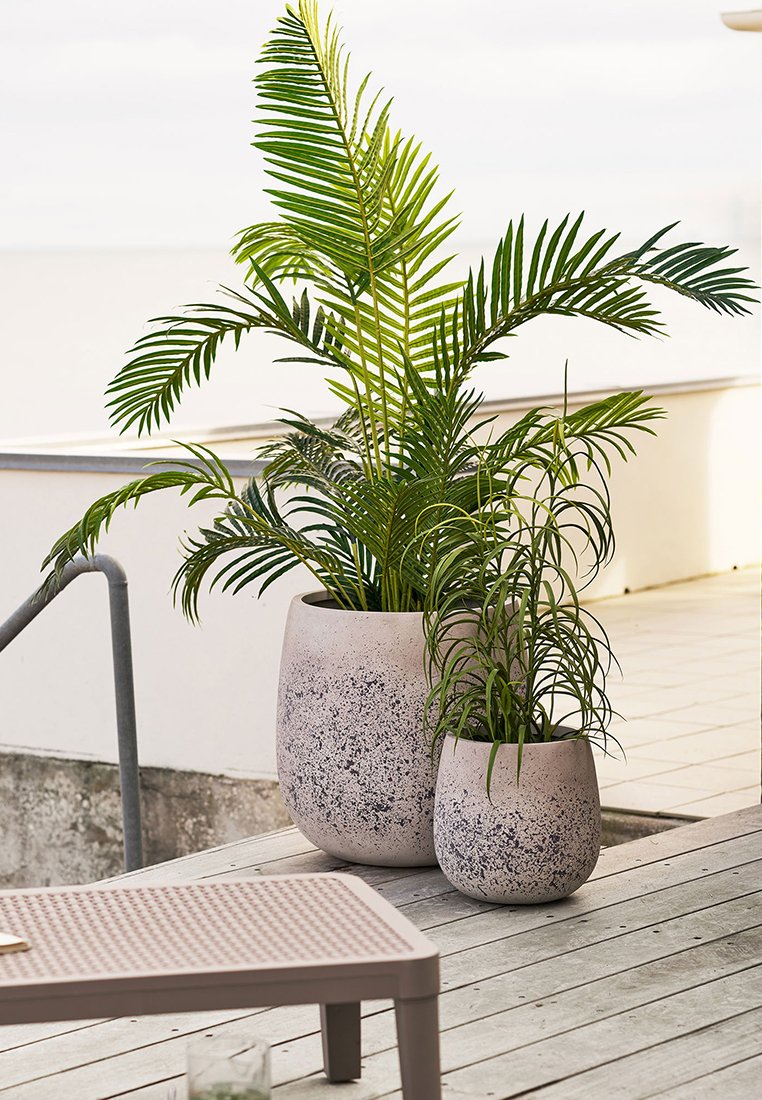 House Nordic GRASS